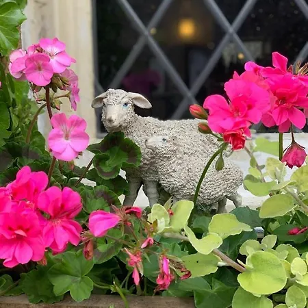 イン Shoulder Of Mutton ハロゲート