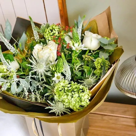 Shoulder Of Mutton Harrogate