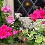 Värdshus Shoulder Of Mutton Harrogate